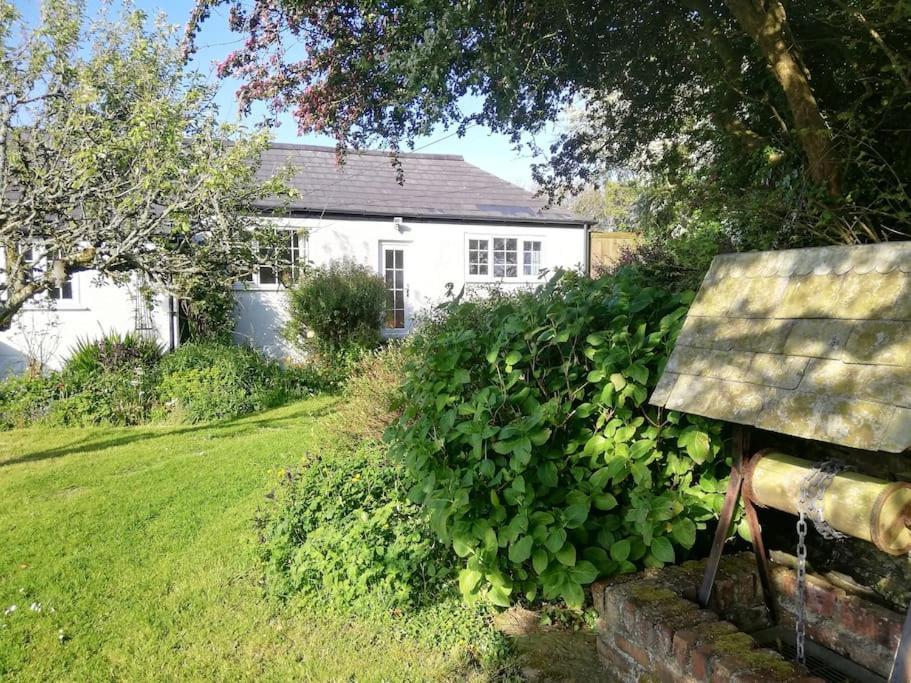 Cozy Country With Beautiful Rural Views * New Quay